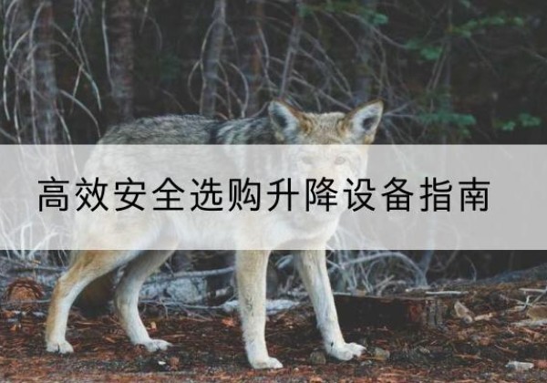 青山升降货梯厂家推荐-*安全选购升降设备指南