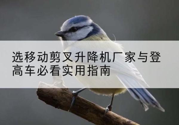青山电动升降机厂家-选移动剪叉升降机厂家与登高车必看实用指南
